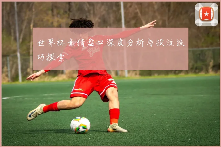 世界杯竞猜盘口深度分析与投注技巧探索