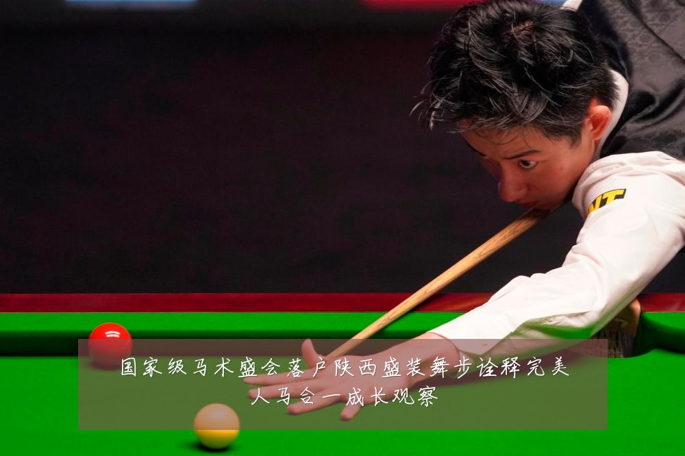 国家级马术盛会落户陕西盛装舞步诠释完美人马合一成长观察